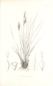 n114_w1150