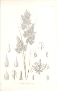 n132_w1150