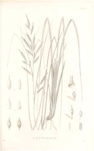 n102_w1150
