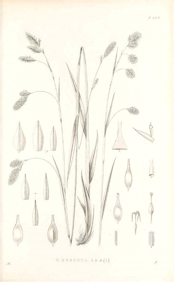 n42_w1150