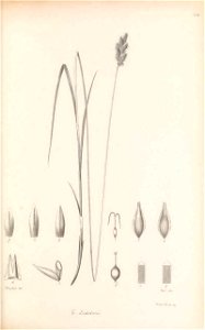n196_w1150