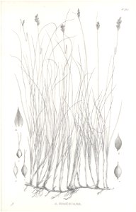 n474_w1150