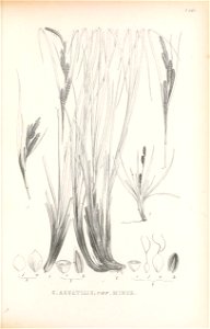 n384_w1150