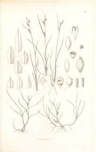 n354_w1150