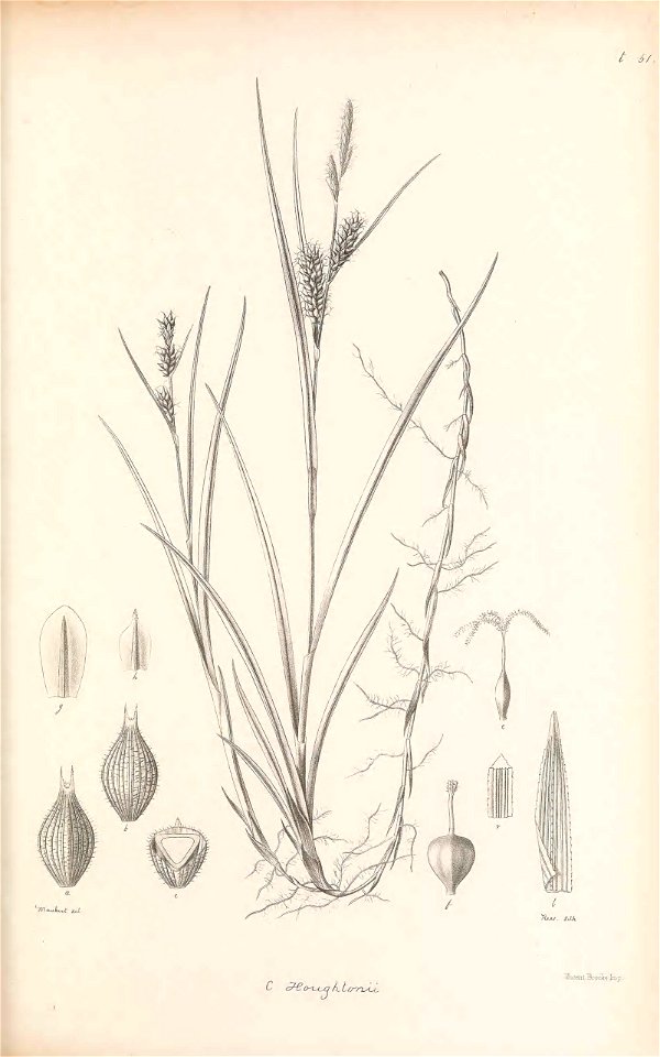 n192_w1150
