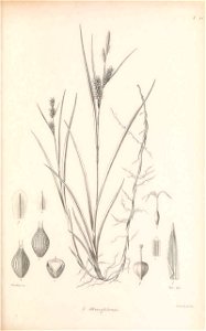 n192_w1150