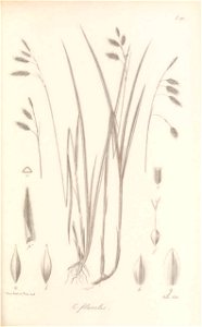 n250_w1150