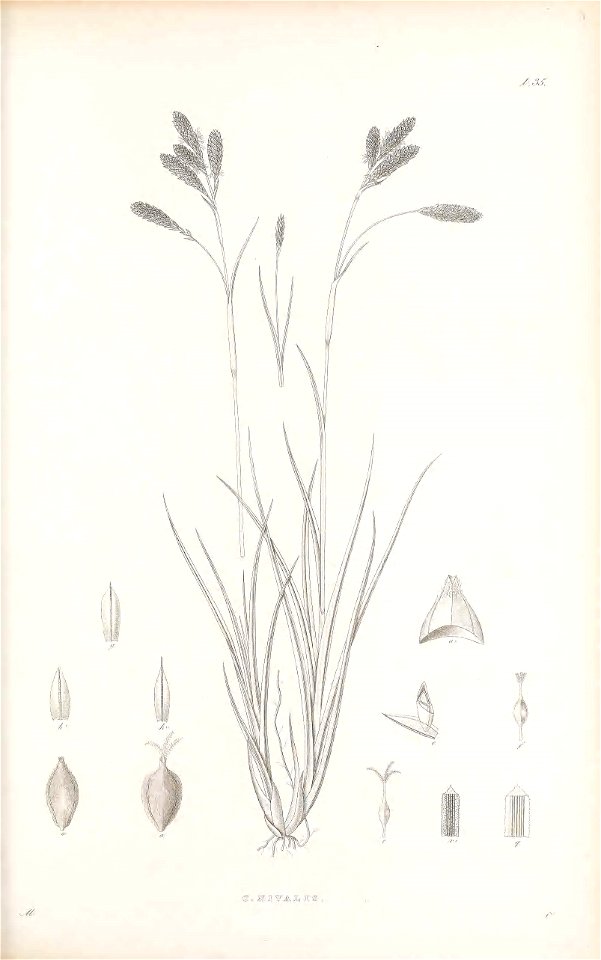 n160_w1150