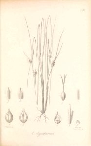 n216_w1150
