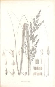 n156_w1150