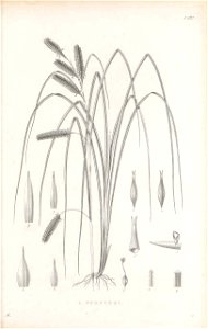 n364_w1150