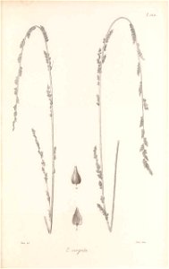 n334_w1150