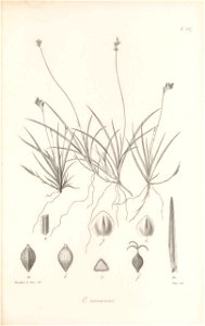 n304_w1150