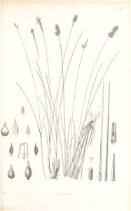 n184_w1150