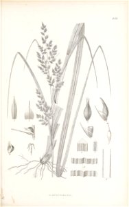 n154_w1150