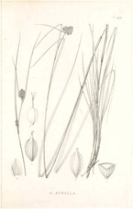 n492_w1150