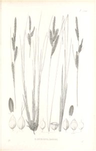 n462_w1150