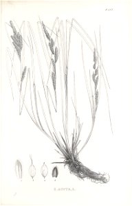 n402_w1150
