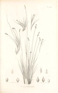 n282_w1150