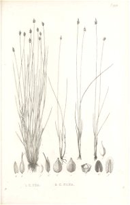 n192_w1150