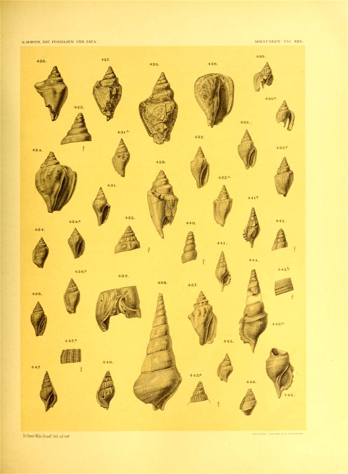 n374_w1150