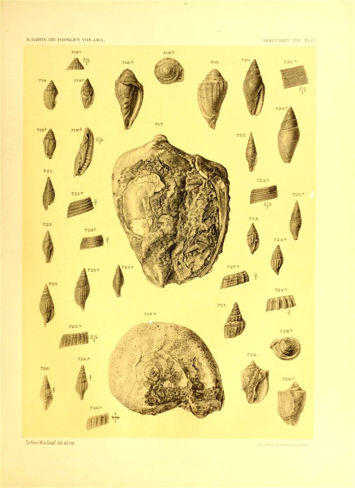 n566_w1150