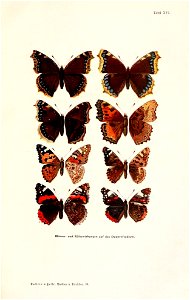 n946_w1150