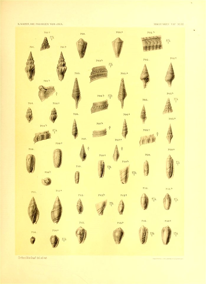 n562_w1150