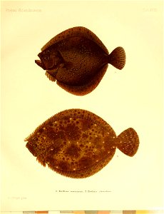 n48_w1150