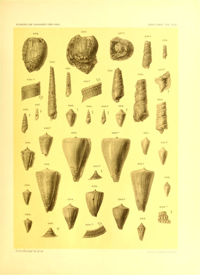 n558_w1150