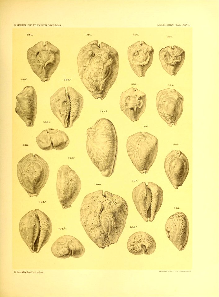 n362_w1150