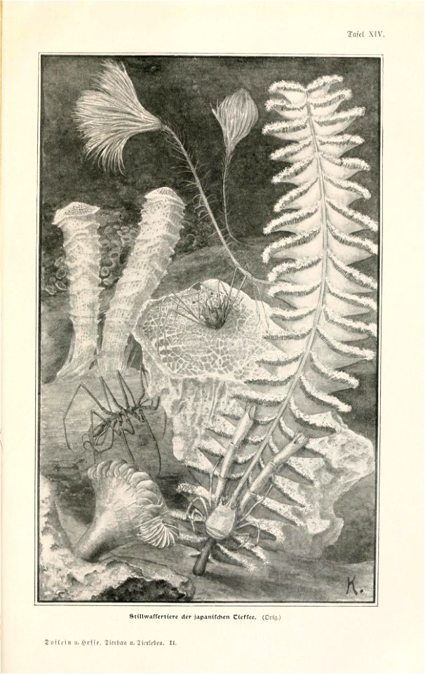 n876_w1150