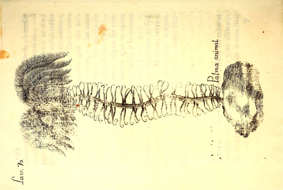 n349_w1150