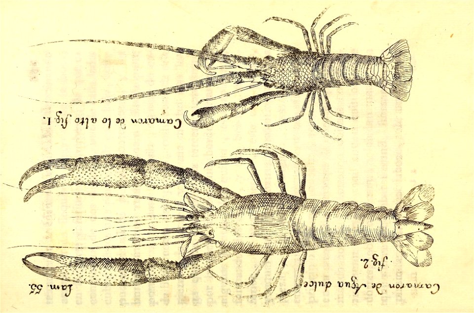 n282_w1150