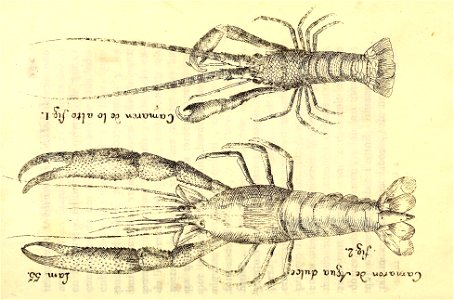 n282_w1150
