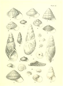 n128_w1150