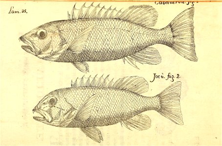 n120_w1150
