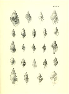 n188_w1150