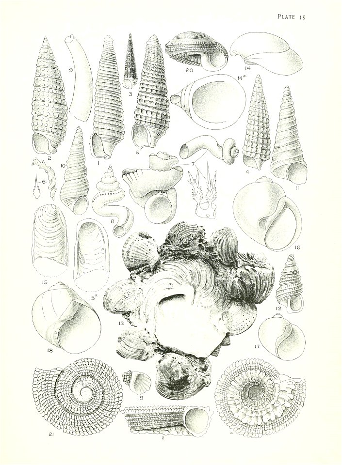 n68_w1150