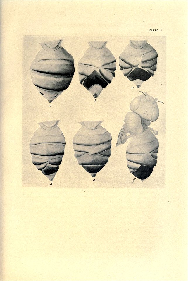 n272_w1150