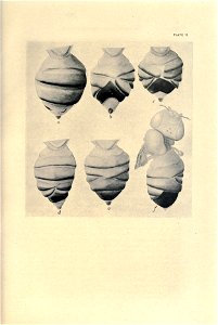 n272_w1150