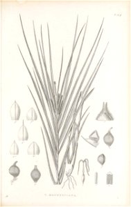 n318_w1150