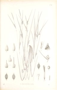 n288_w1150