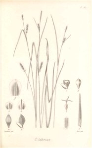 n258_w1150