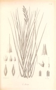 n198_w1150