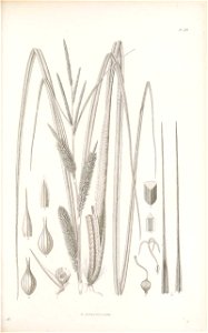 n168_w1150