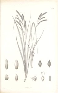 n138_w1150