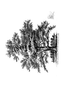 n33_w1150