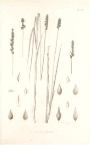 n230_w1150