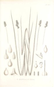 n200_w1150
